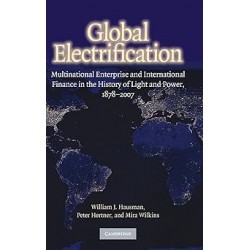 Global Electrification: Multinational Enterprise and International Finance in the History of Light and Power, 18782007 (Cambridge Studies in the Emergence of Global Enterprise)