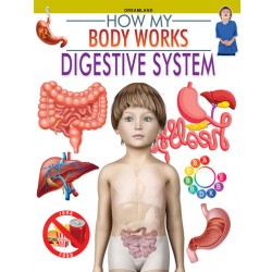 HMBW-Digestive System