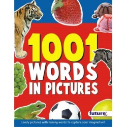 1001 Words In Pictures