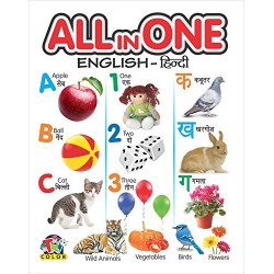 All In One English-Hindi           